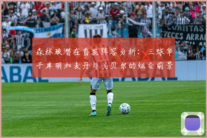 森林狼潜在首发阵容分析：三球华子库明加麦丹与戈贝尔的组合前景如何